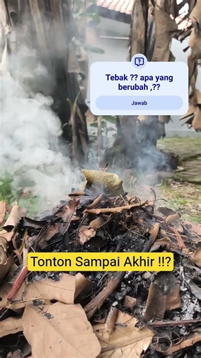Tebak Apa yang berubah ? #unik #random #fire
