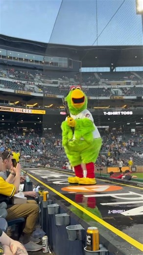 Pittsburgh Pirates mascot the Parrot #shorts