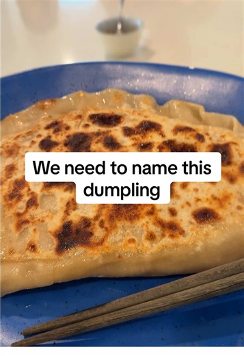 We call it a dump-zone but I think the name may need some work 🙊🤣 #dumpling #dumplings #giantfood #dumplinglife
