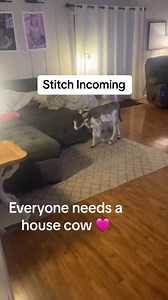 17K views · 536 reactions | Weavil I know they’re cute, but this is not the way! Lol | The Little Red Farm | Facebook