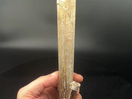 大晶体锑华包裹辉锑矿Valentinite 18.5cm 湖南冷水江