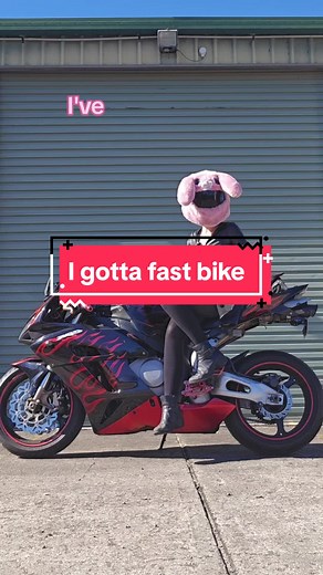 Bunny Biker Helmet Cover | Funny Motorcycle Ride at Moderate Pace