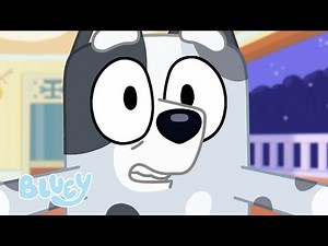 Feestelijke Sfeer met Bluey 🥳 | Volledige Afleveringen + Meer | Bluey - Officieel Nederlands kanaal