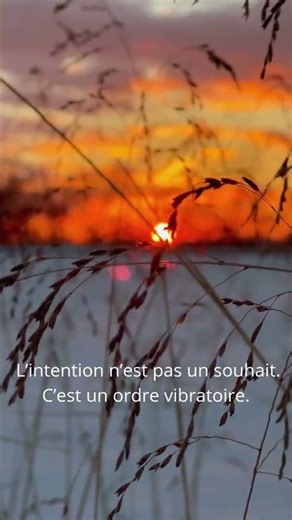 « L’intention n’est pas un souhait. C’est un ordre vibratoire. »
