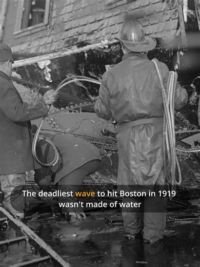 It sounded like a machine gun. Then came the 15-foot wave. 21 people died in a flood of molasses that moved at 35mph. This wasn't a slow leak, it was a high-speed disaster fueled by corporate greed and physics. Here’s why the North End stood no chance in 1919. #History #TrueCrime #Boston