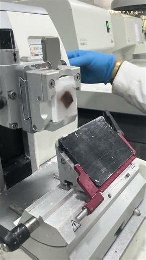 Inside Vantara’s Lab: 🔬ASMR Edition