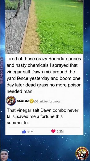 Ditched Roundup Forever – This Kitchen Mix Killed My Weeds Overnight