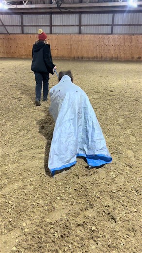 Work shenanigans with the best mini, Gabby #minipony #harrypotter