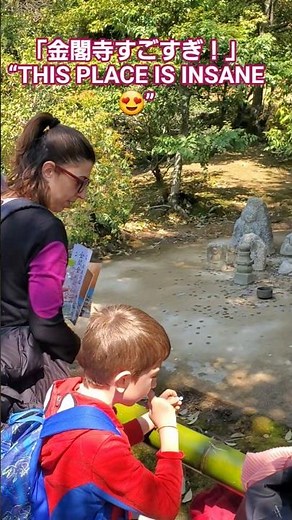 金閣寺に行ったら絶対楽しい！✨京都の最高スポット||You MUST Visit Kinkakuji! ✨ Kyoto’s Most Stunning Spot