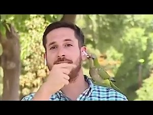 Videos I Found On Reddit #30