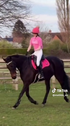 Understanding Martingales in Equestrian Training