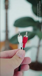 An adapter that allows old speakers to connect via Bluetooth. Bluetooth Receiver #bongbear #bongbear