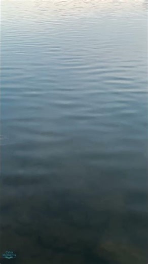 Gentle River Water | Just Flow and Peace