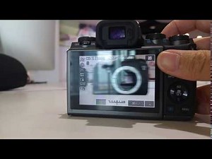 Canon EOS M5 One Shot AF Testing