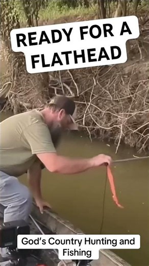 CATCHING FLATHEADS WITH BANK POLES #fishing #catfish #shorts #fish ‪@godscountryhuntingfishing1638‬
