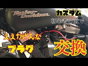 ハーレー プラグ交換をゆる〜く実践する男
