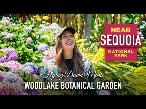 349: Woodlake Botanical Garden – Perfect Add-On to a Sequoia National Park Trip Near Visalia, CA