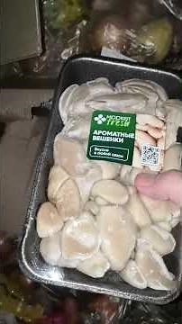 Помоечка кормит! dumpster diving