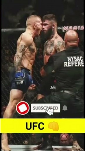 The Numbers are IN: Top 10 Most Popular Sports in the US (2024)