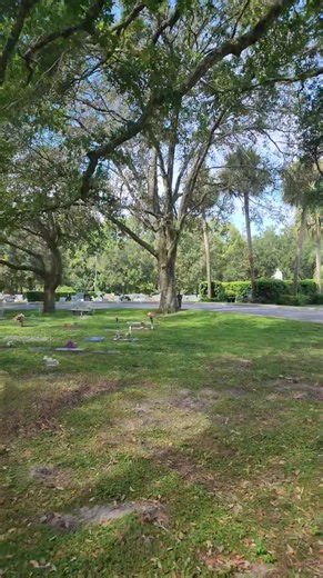 #florida #crime #truecrime #MurderCase #Cemetery #graveyard #youtuber #Death | Lamont At Large