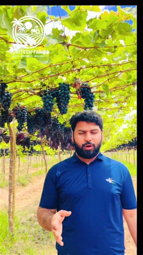 READY FARMS IN BRAZIL 🇧🇷 Buy Real Farm, Earn instant Income & get a PR for you and family in months 🌱 Fully Planted & Income-Producing • Mature mango / fruit farms • Professionally managed • Registered agricultural land 💰 Immediate Income • No waiting • Farming already operational 👨‍👩‍👧‍👦 Family Residency Pathway • Legal investment route • Move with spouse & children • Permanent Residency and🇧🇷 Citizenship Pathway #fyp #foryou #brazilresidency #AgriTechFarms #citizenship