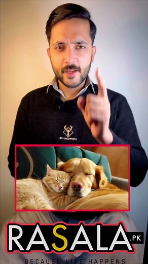 Understanding Your Pet: AI Language Translator for Cats and Dogs