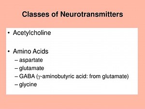 Classes of Neurotransmitters - SlideServe