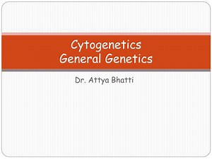 PPT - Cytogenetics General Genetics PowerPoint Presentation, free download - ID:4234649