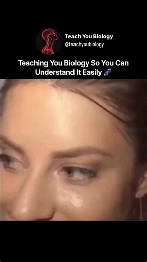Teach You Biology on Instagram: "Explaining you biology in a simple way 🧬🔬 Follow @teachyoubiology . . . #fyp #viral #reels #explore #explorepage #relatable #fypage #english #dopamine #biology #biologystudent #biologylearner #biologynotes #science #science #bioreels #educationalreels #microscope #cells #genetics #anatomy #humanbody #microbiology #biotech #explaining #teaching #science #medicine #medical"