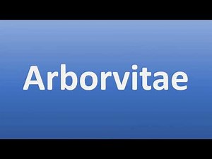 How to Pronounce Arborvitae