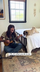 292K views · 20K reactions | There’s nothing like finding your soul dog  Doug loves this one so much he started singing along, with metronome-tail in full force! Sung to the tune of #heytheredelilah by @plainwhitets #dogsofinstagram #acousticcovers #plainwhitets #dogmom | Doug The Pug | Facebook