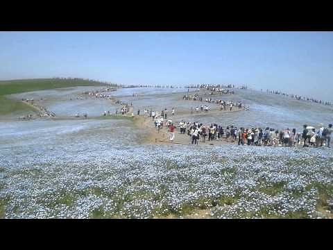 RAYMOND LEFEVRE －過ぎゆく日々の物語－