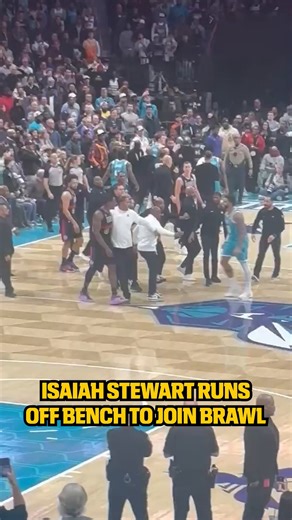 Intense Moments from the Hornets vs. Pistons Brawl