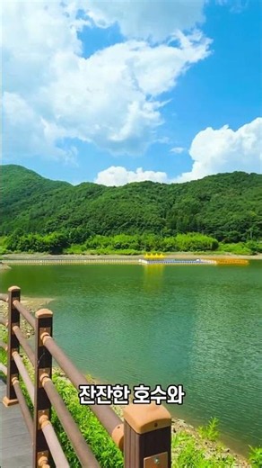 장성 축령산 편백나무숲 힐링 산책