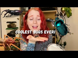 Unboxing some AMAZING Bugs from Bugsincyberspace!!!