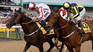 Successes for jumps yards in the Northumberland Plate