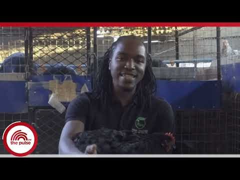 How to start a Profitable road runner business