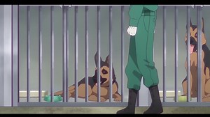 Animated Adventures of German Shepherd Dogs