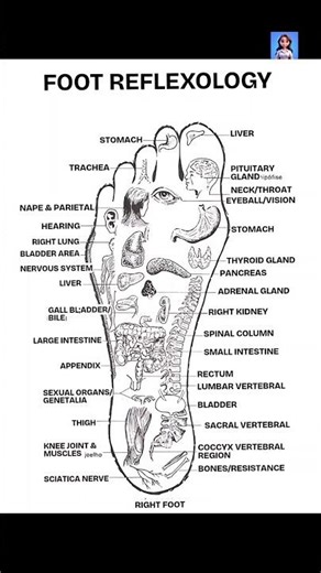 Foot Reflexology Chart | Foot Reflexology Chart