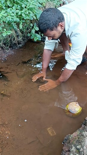 Fishing video !! Catch snake fish 😱 #shorts #animals #viral