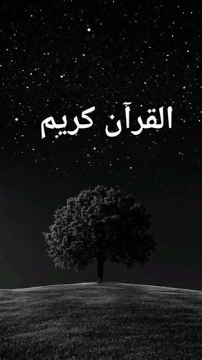 Beautiful Islamic status Islamic status on Muslim, 4k Islamic status #Islam #allah #ytshort #shorts