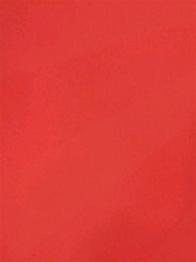 aella kaiya on TikTok