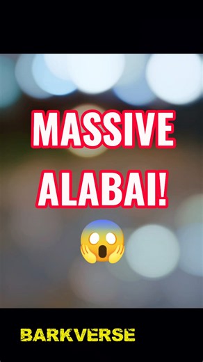 You Won’t Believe How MASSIVE This Alabai Is! 😱🐕