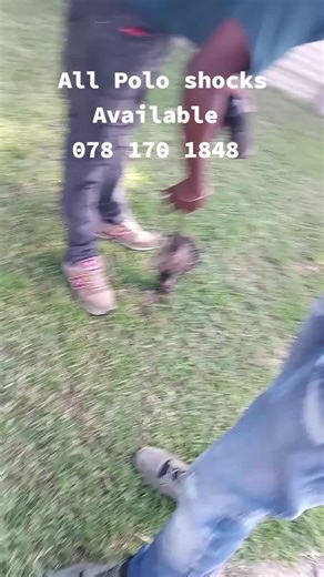 Golden Handshake Suppliers (@goldenhandshakesuppliers)’s videos with original sound - 🅤🅝🅒🅛🅔 🅓🅛🅐🅛🅐 🥷🏽