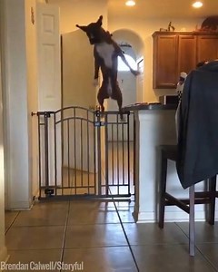 Mum: DINNER'S READY! Me: | UNILAD