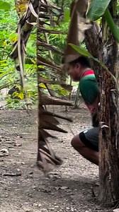 10K views · 56 reactions | Bat ka sumunod!!! | Bozz Vanz | Facebook