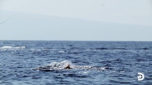 411K views · 6.1K reactions | What does a “Green-Stick” have to do with fishing tuna?  It’s a technique that uses a 30-40 foot pole (like a giant fishing rod) that attracts fish to the water’s surface using multiple hanging lures. Don’t miss #DeadliestCatch: Bloodline tonight at 9p ET on Discovery and streaming on discovery+. | Deadliest Catch | Facebook