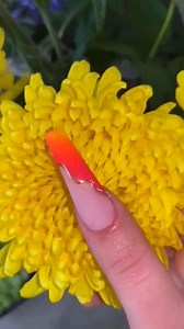 18K views · 161 reactions | Beautiful nail art designs 2024 | Nailart Videos | Facebook