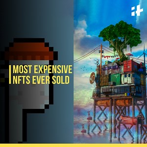 Which ones are the most expensive? Let's take a look | Indiatimes