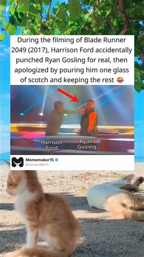 During the filming of blade runner 2049 (2017) Harrison Ford accidentally punched Ryan